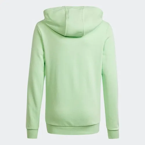 Adidas Kids Big Logo Hoodie Semi Green Spark/Charcoal
