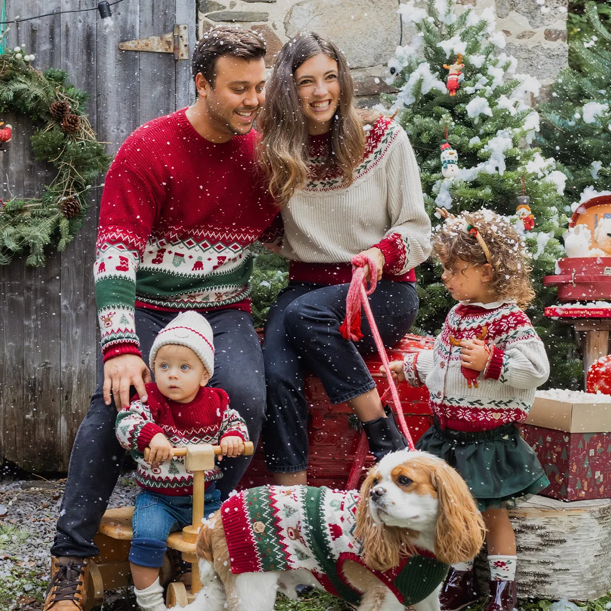 Chandail en tricot rouge et vert à motifs des fêtes pour animaux||Red and green knit sweater with holiday all-over print for animals