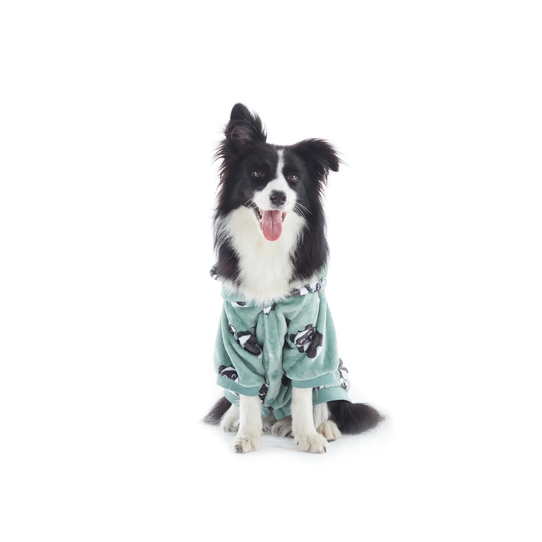 Charlie's Uggo Pand-UH! Dog Hoodie Sage Extra Small