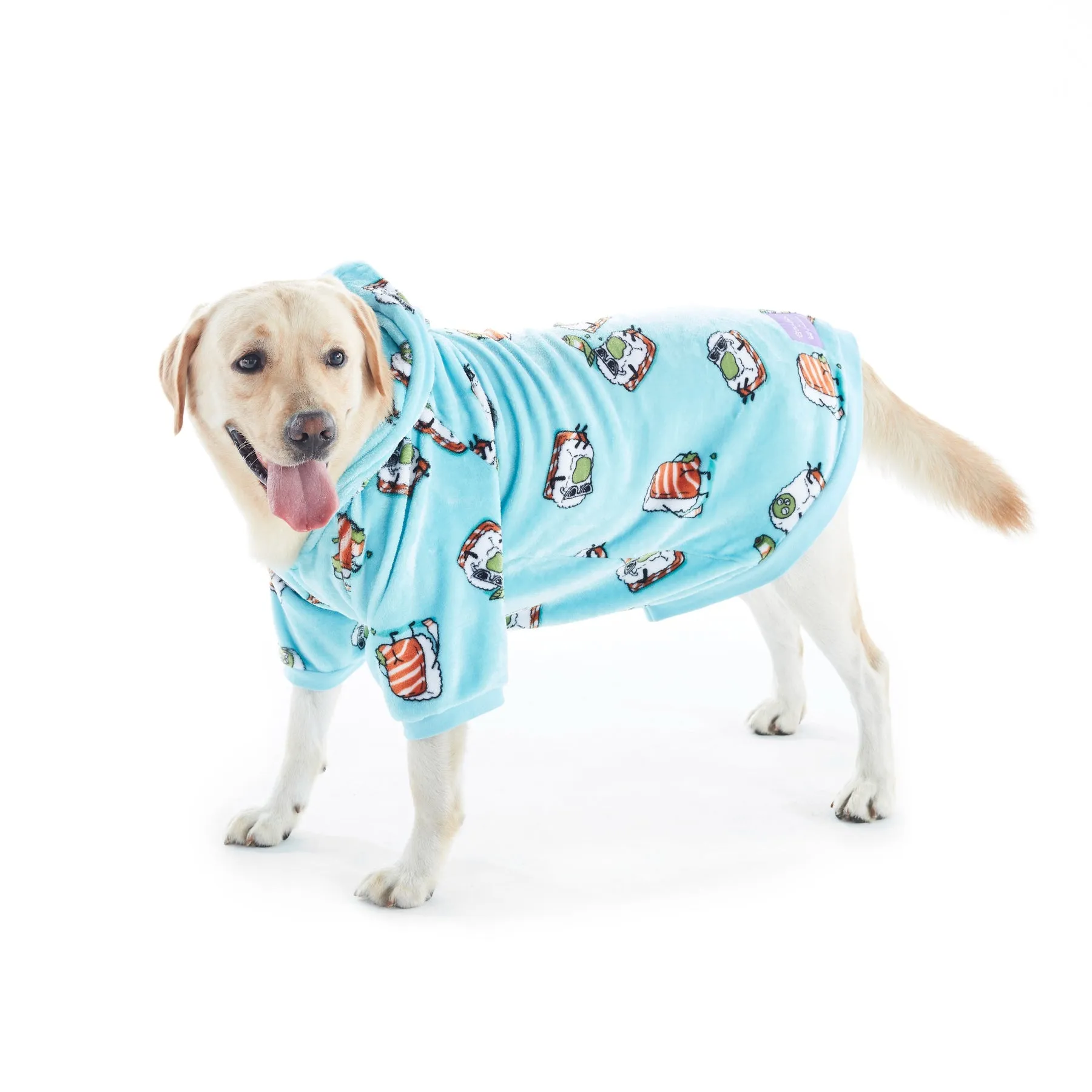 Charlie's Uggo Wassup'b Dog Hoodie Teal Small