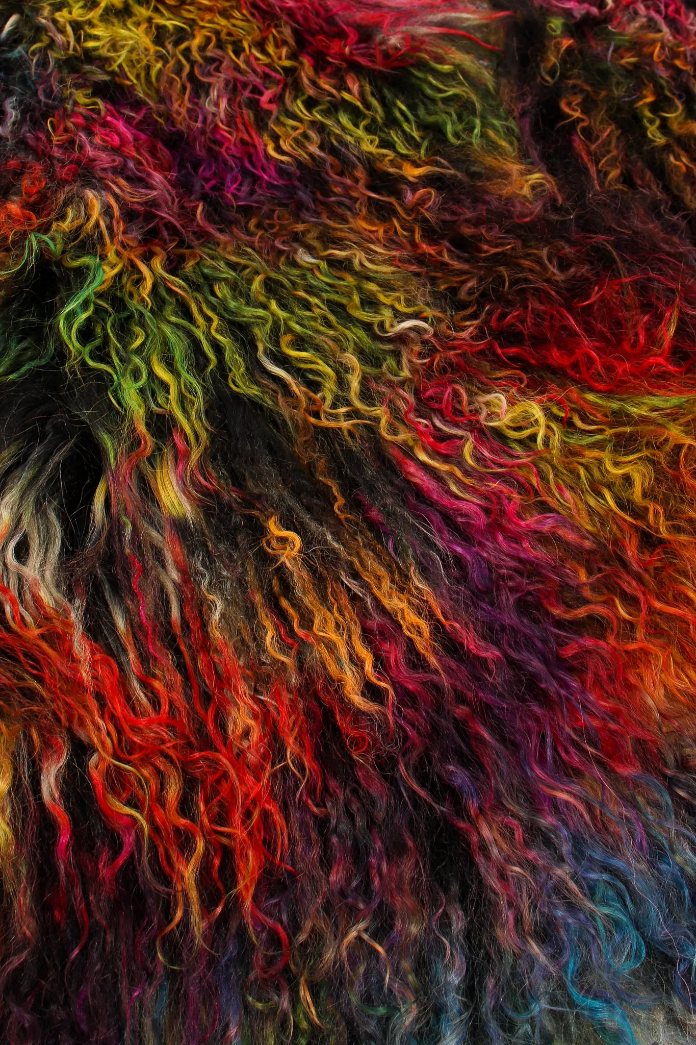 Chubby Rainbow Mongolian Fur Jacket