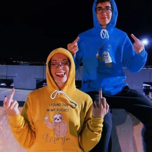 Funny Sloth sweatshirt "I found this in my pocket, it's for you" Middle finger