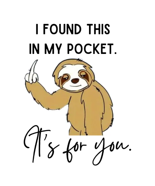 Funny Sloth sweatshirt "I found this in my pocket, it's for you" Middle finger