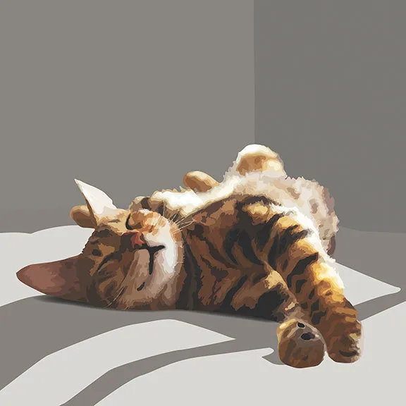 Morning Stretch