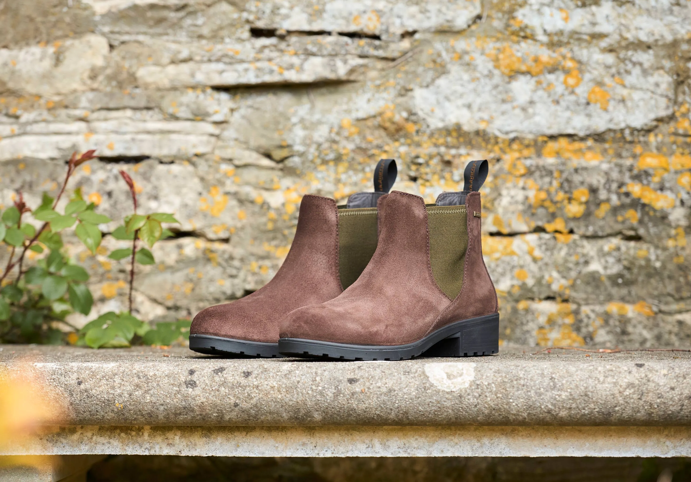 Waterford Ladies' Ankle Boot - Cigar